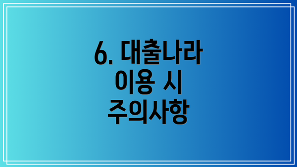 6. 대출나라 이용 시 주의사항