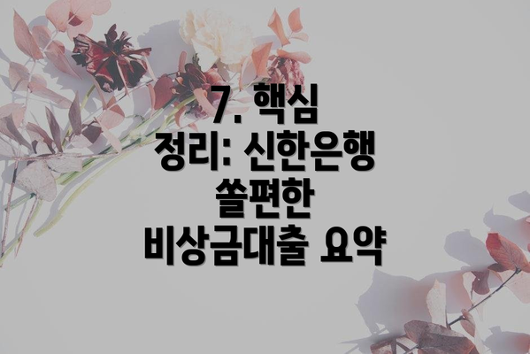 7. 핵심 정리: 신한은행 쏠편한 비상금대출 요약