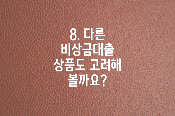 8. 다른 비상금대출 상품도 고려해 볼까요?