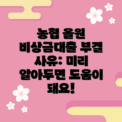 농협 올원 비상금대출 부결 사유: 미리 알아두면 도움이 돼요!