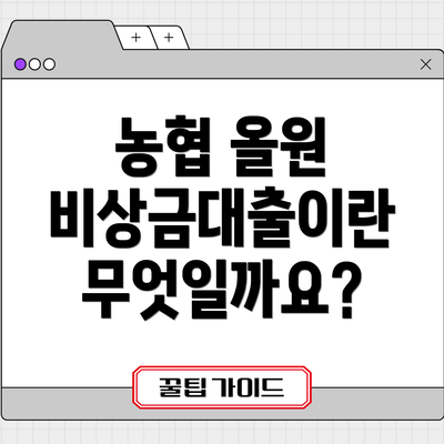 농협 올원 비상금대출이란 무엇일까요?