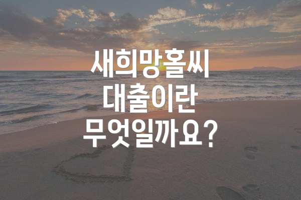 새희망홀씨 대출이란 무엇일까요?