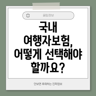 국내 여행자보험, 어떻게 선택해야 할까요?