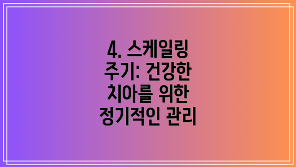 4. 스케일링 주기: 건강한 치아를 위한 정기적인 관리