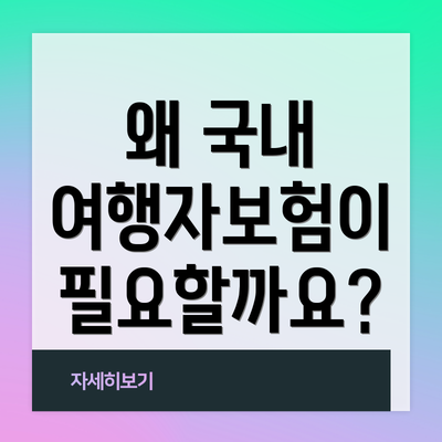 왜 국내 여행자보험이 필요할까요?