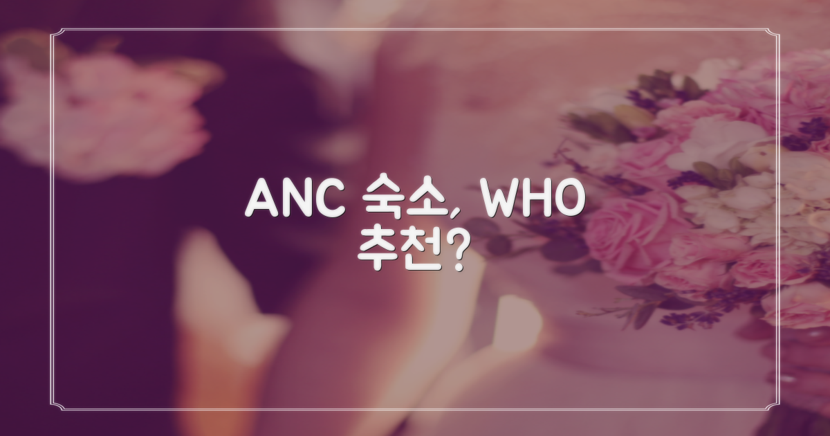 ANC 숙소, 누구에게 추천할까?