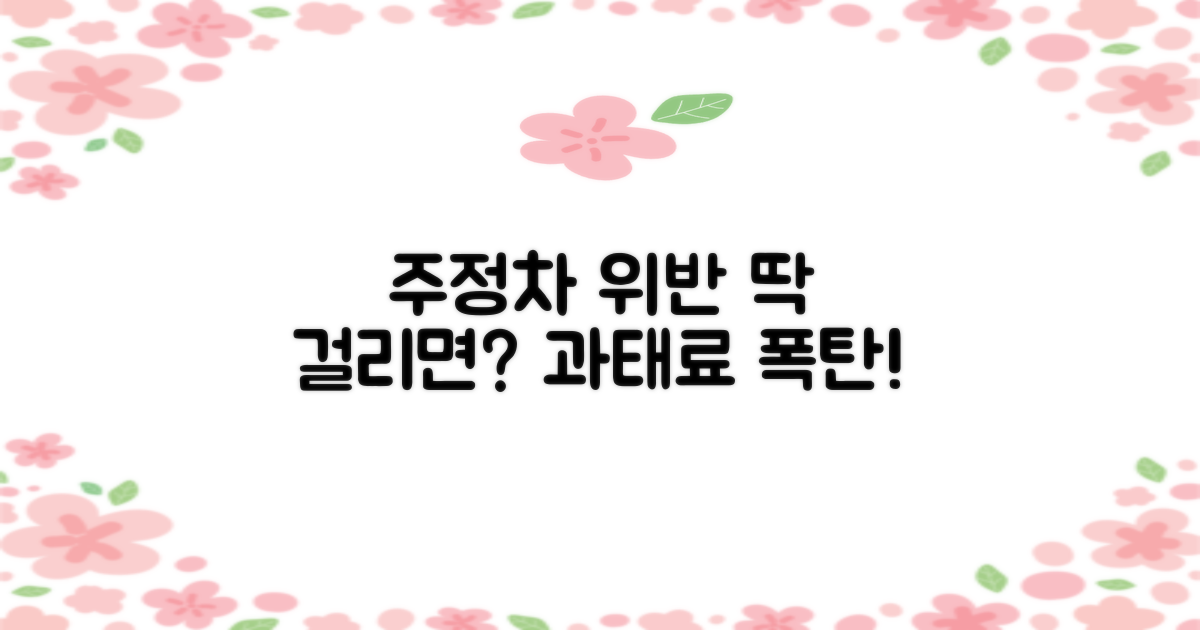 주정차 위반 단속 및 과태료