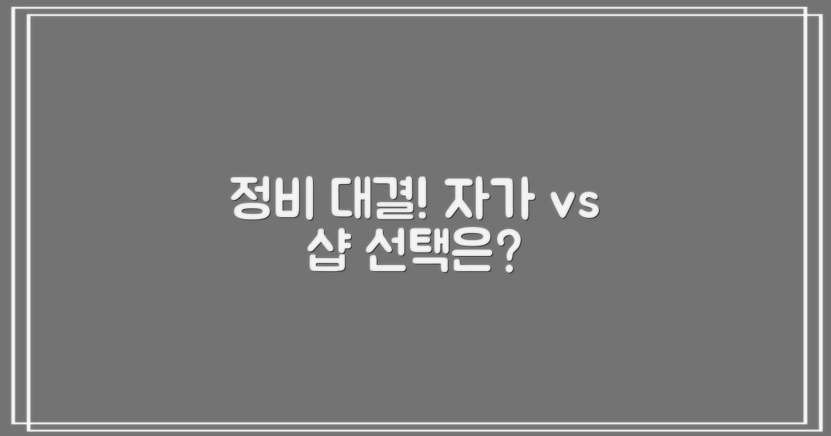 자가 정비 vs 전문점