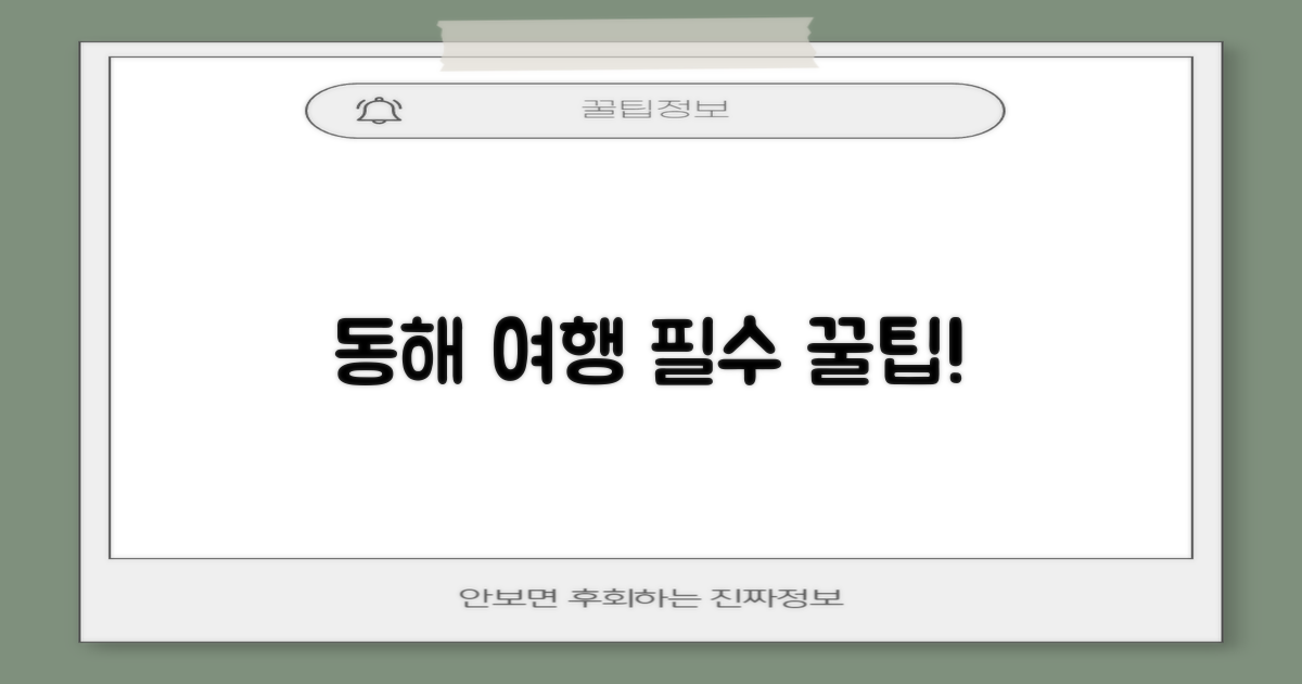 동해 방문객 필수 정보