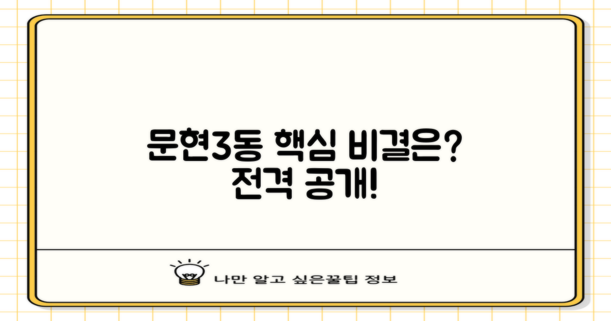 문현3동, 숨겨진 비결은?